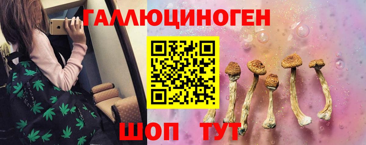 Галлюциногенные грибы Psilocybine cubensis Ишимбай